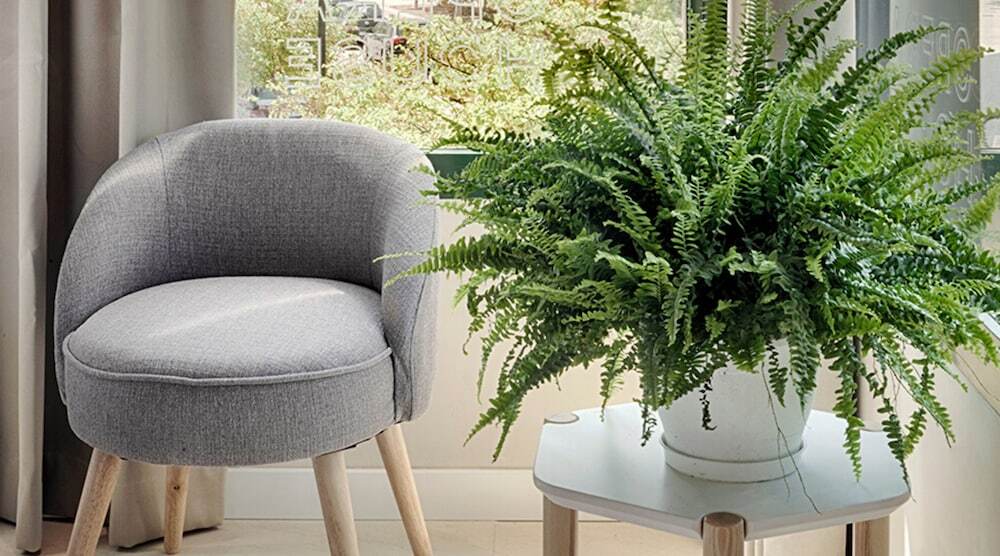 Photo - Opera House Valencia B&B