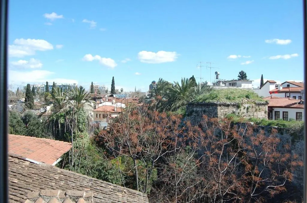 Foto - Villa Tulipan