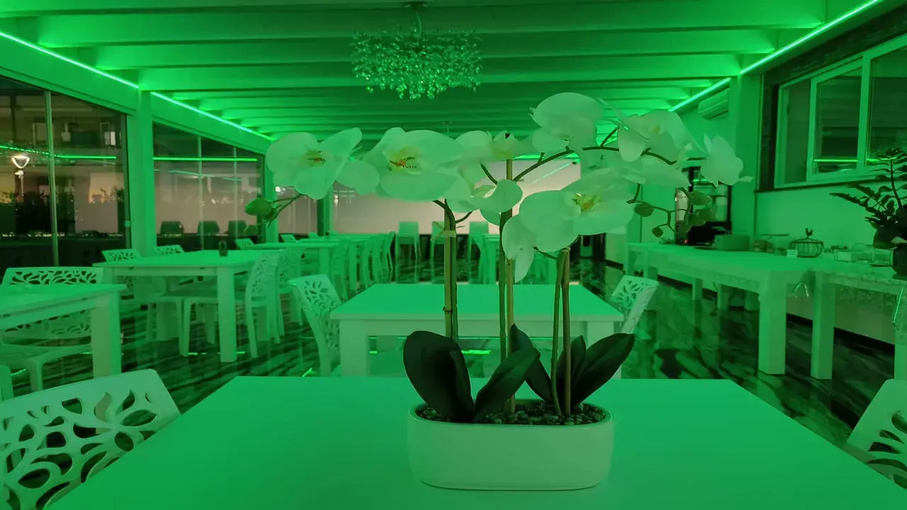 Foto - Hotel Ohana