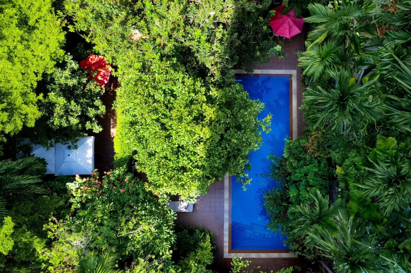 Photo - Skyline Boutique Hotel