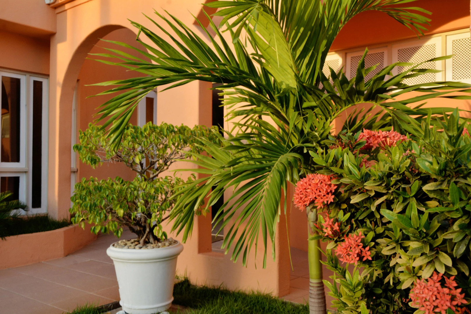 Foto - Hotel Terra do Sol