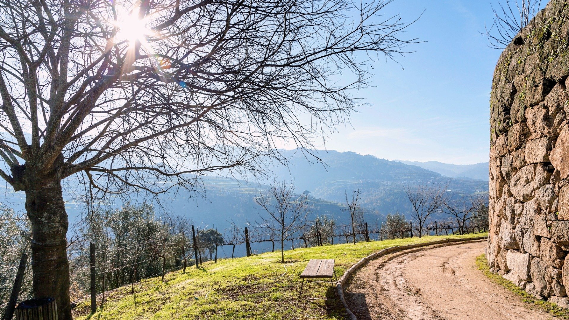 Photo - Douro Palace Hotel Resort & SPA