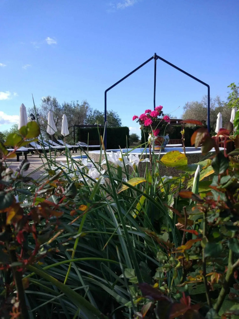 Photo - Agroturismo Sa Vinya d'en Palerm