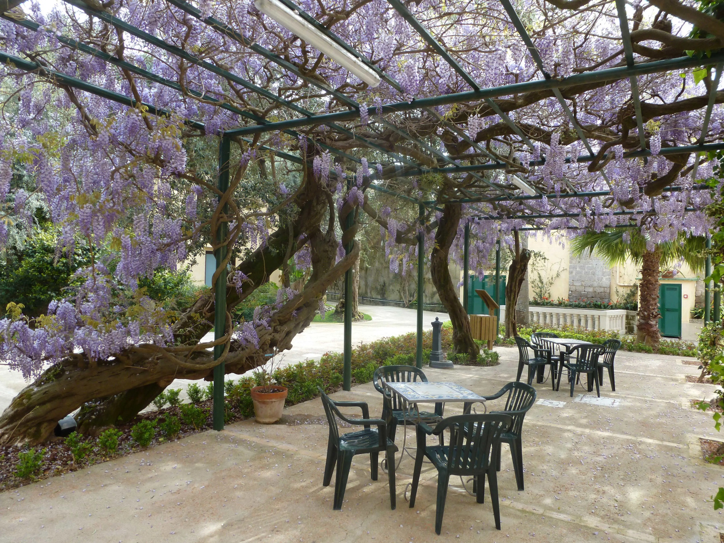 Photo - Villa Crawford
