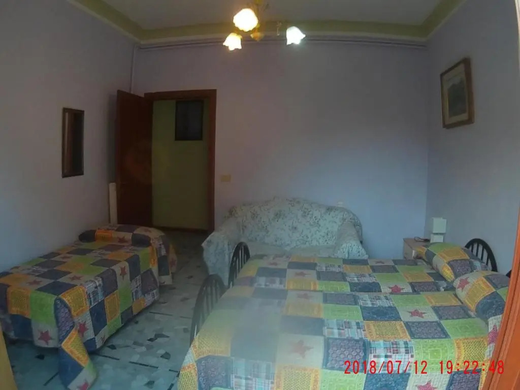 Photo - The Caponi Bros