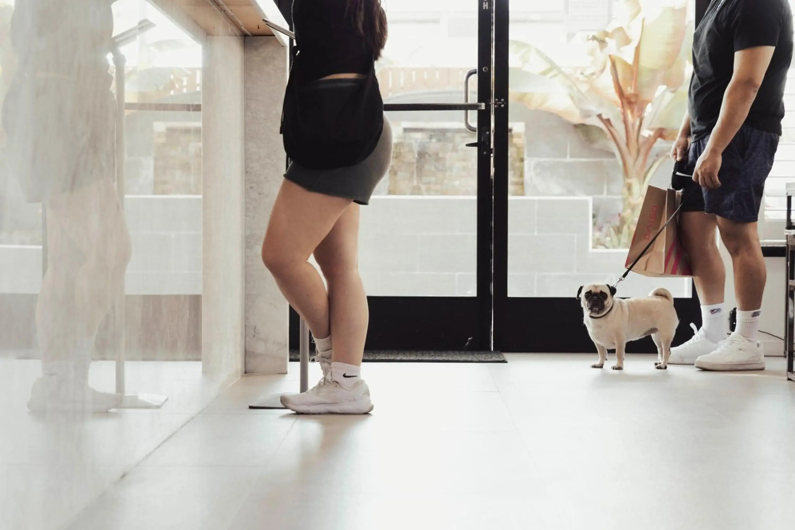 Foto - The Dixie Hollywood