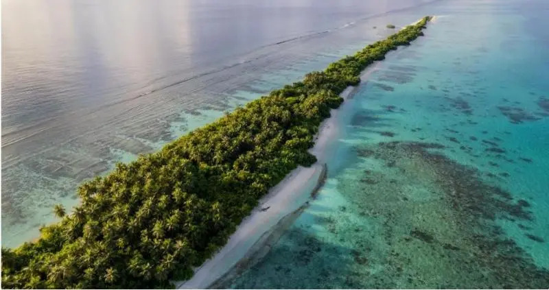 Foto - Whaleshark Beach