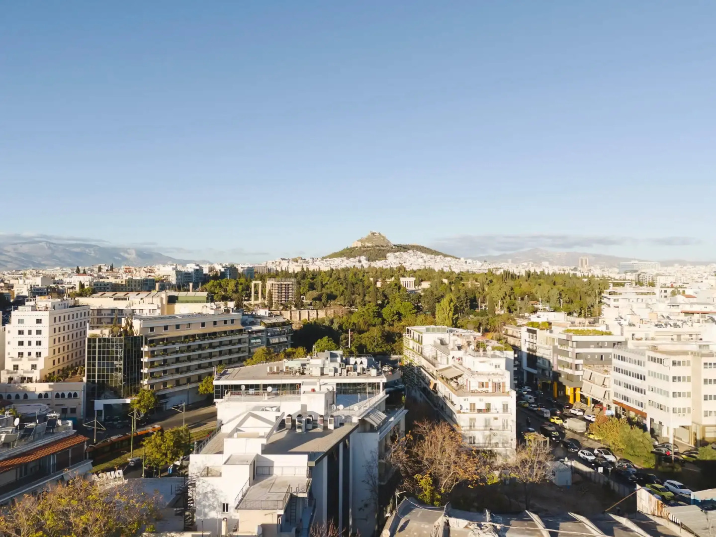 Photo - Tyto Alba Habitat