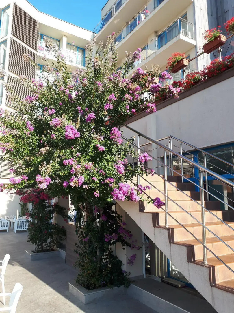 Photo - Hotel Slavey - All Inclusive