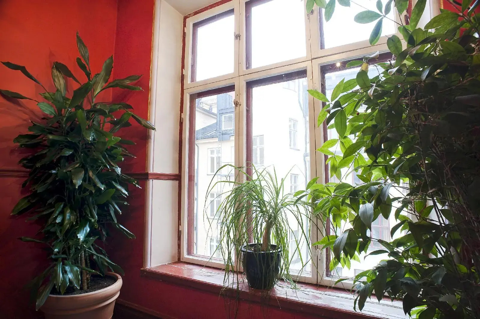 Photo - Hotel Hellsten