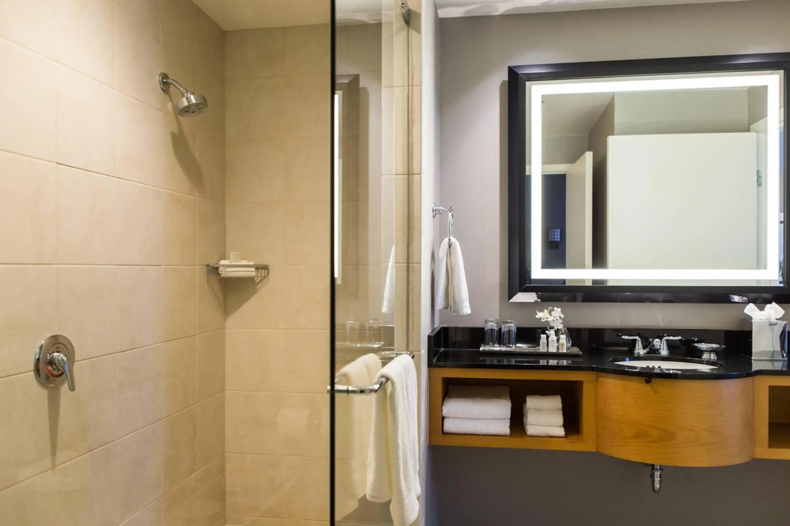 Foto - Renaissance Chicago O'Hare Suites Hotel