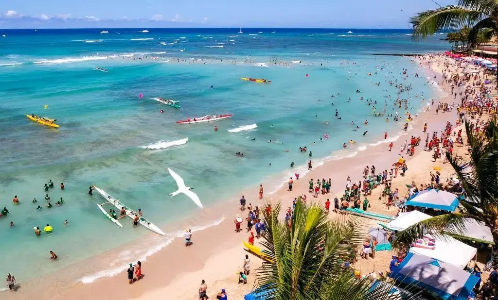 Photo - Coconut Waikiki Hotel