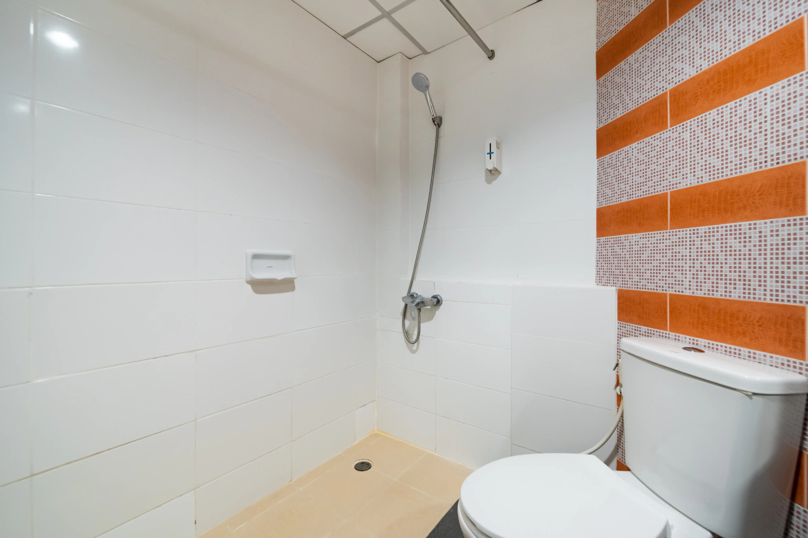 Foto - Bella Express