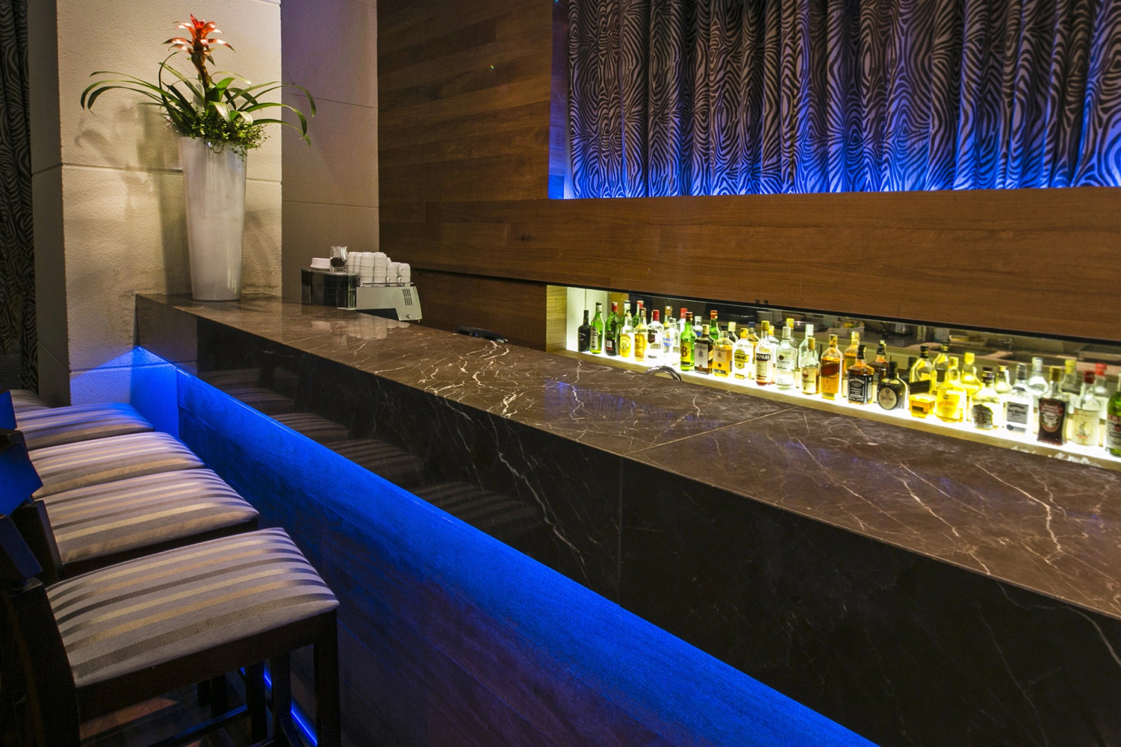 Photo - Intercity São Paulo Paulista