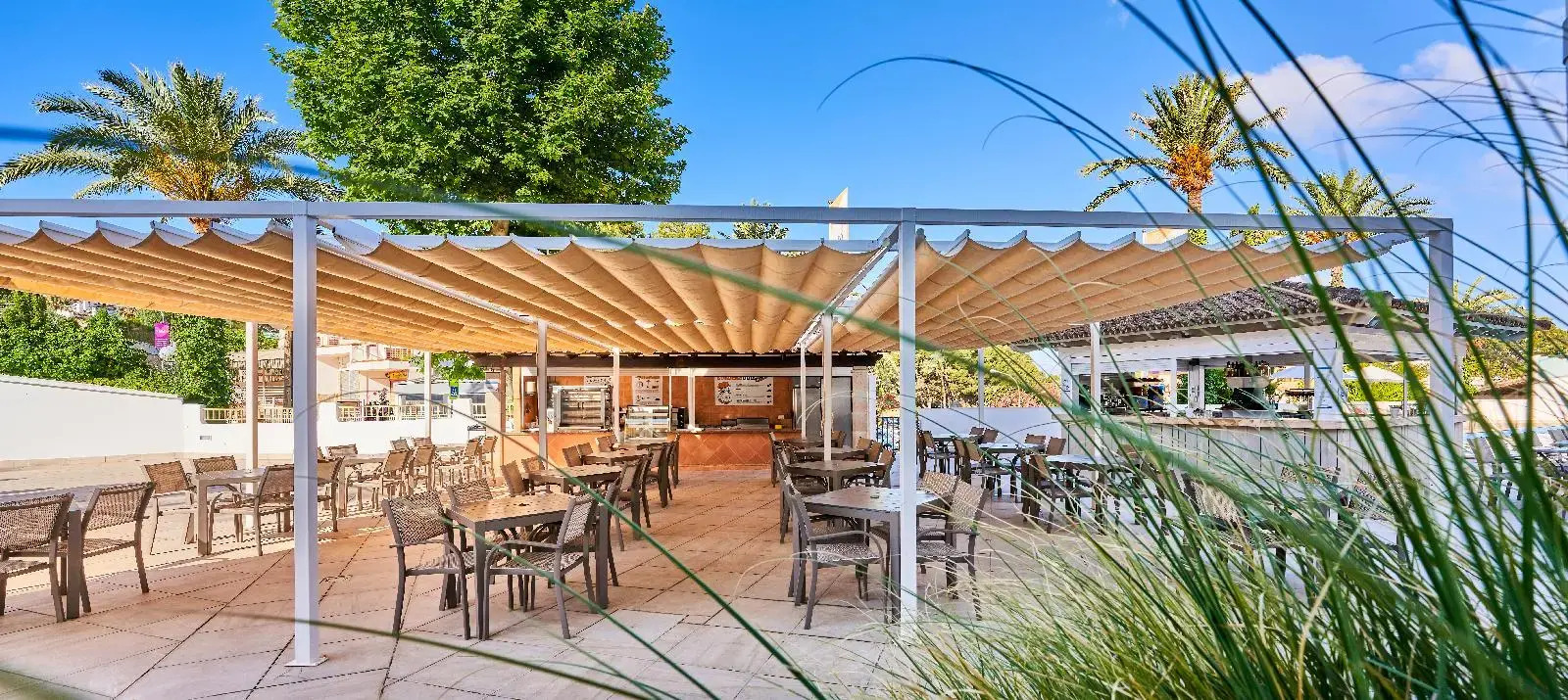 Foto - Globales Costa de la Calma