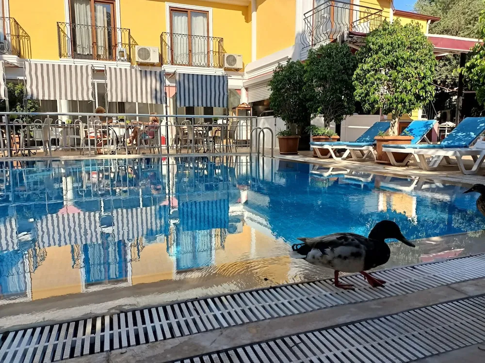 Photo - Hotel Barlas Fethiye