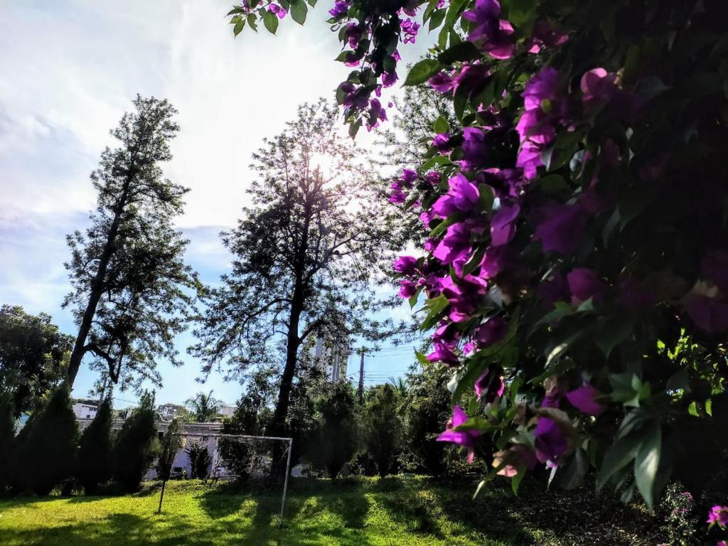 Photo - VELINN Hotel Natureza Foz