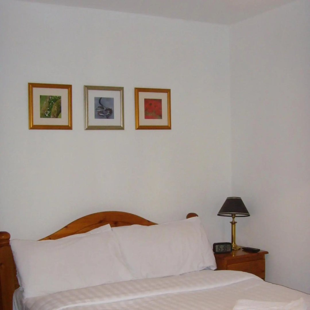 Photo - Twin Lions Hotel