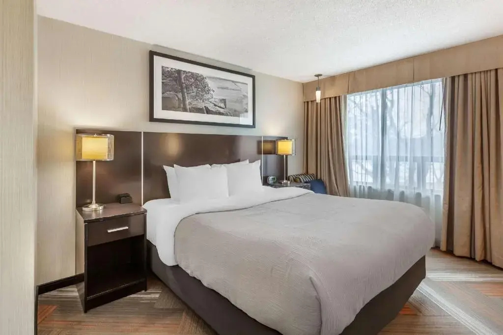 Photo - Quality Hotel