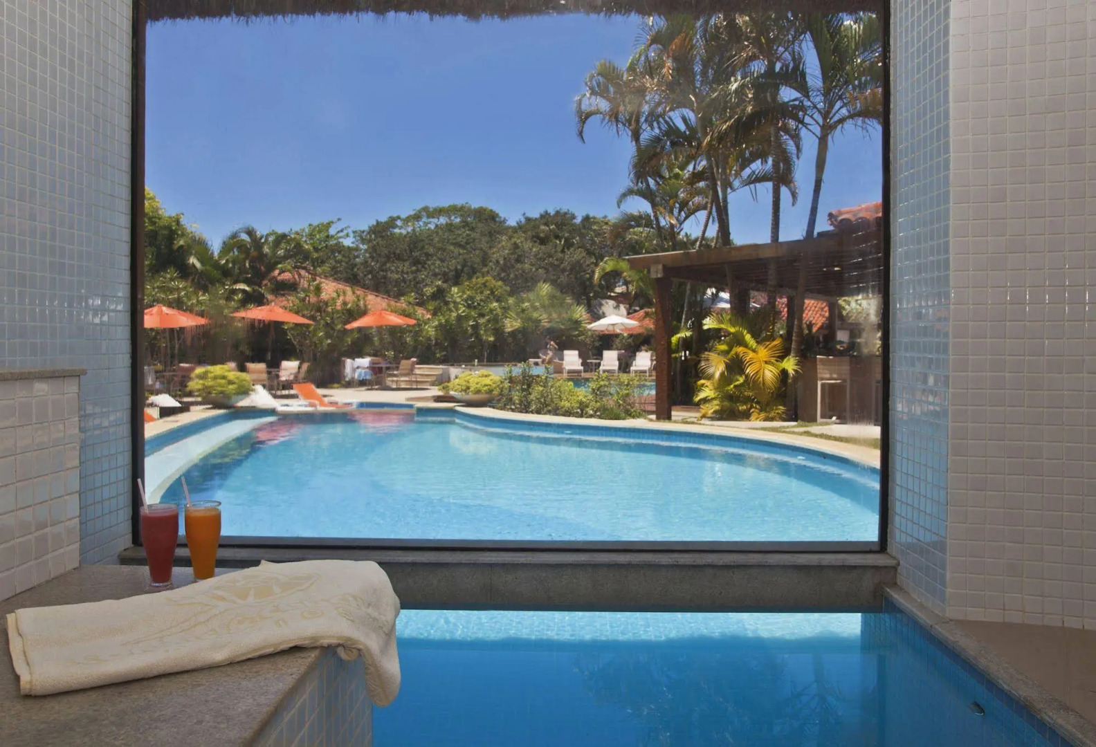 Photo - Corais e Conchas