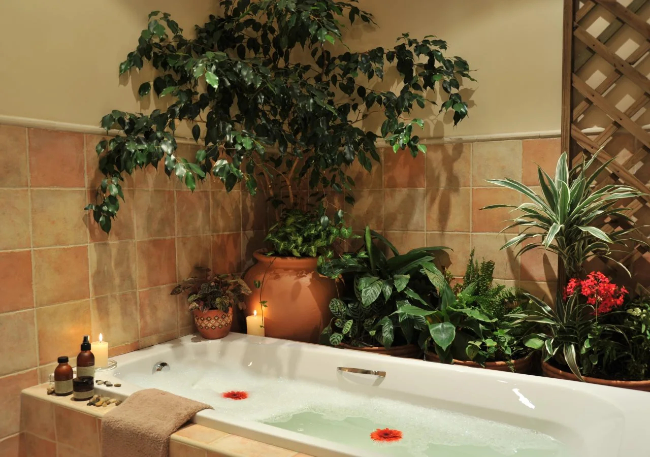 Foto - Claires of Sandton Luxury Guest House