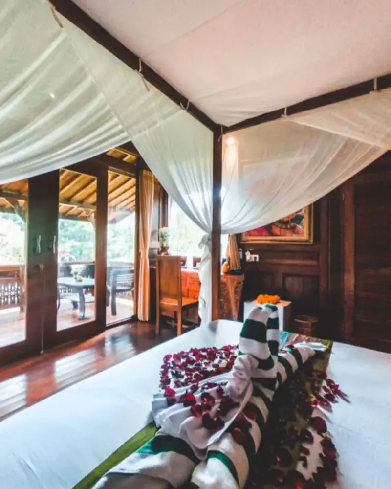 Foto - The Jungle Villa