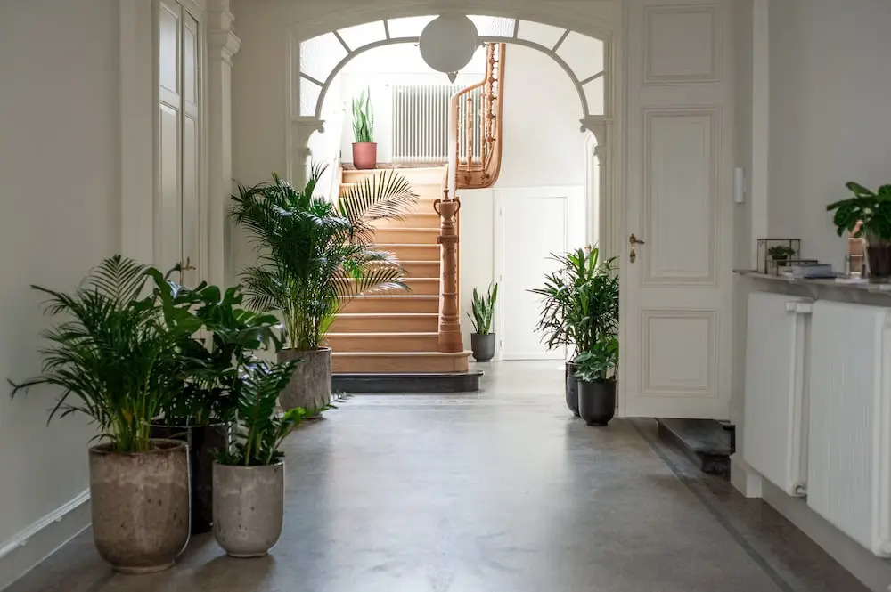 Photo - B'Guest Sleep & Retreat