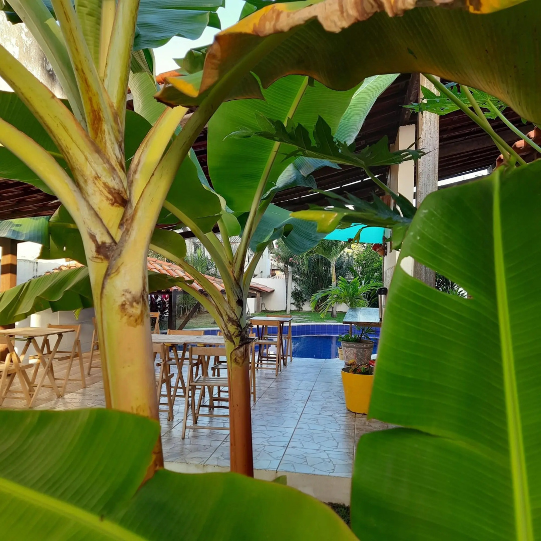 Foto - Villa Tropicale