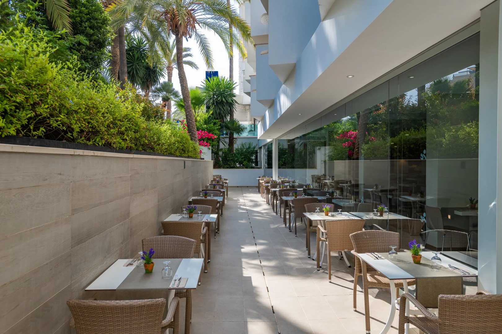 Photo - Globales Panamá - Adults Only