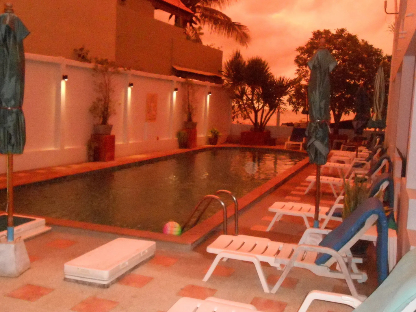 Foto - Kamala Dreams