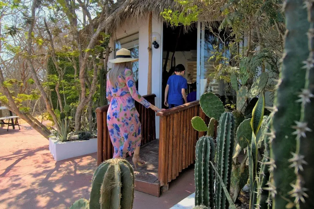 Foto - Palm Valley Cabins