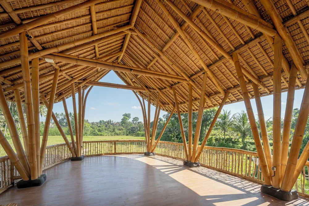 Photo - Emana Bambooscape