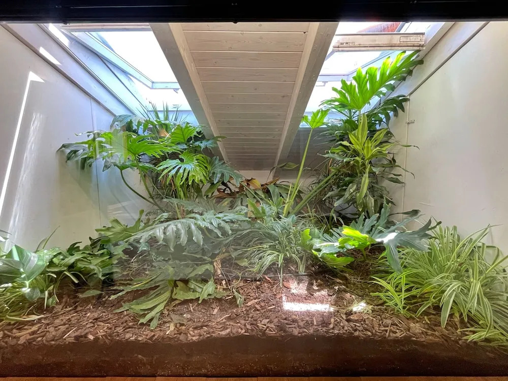 Photo - Via Del Centro Guesthouse