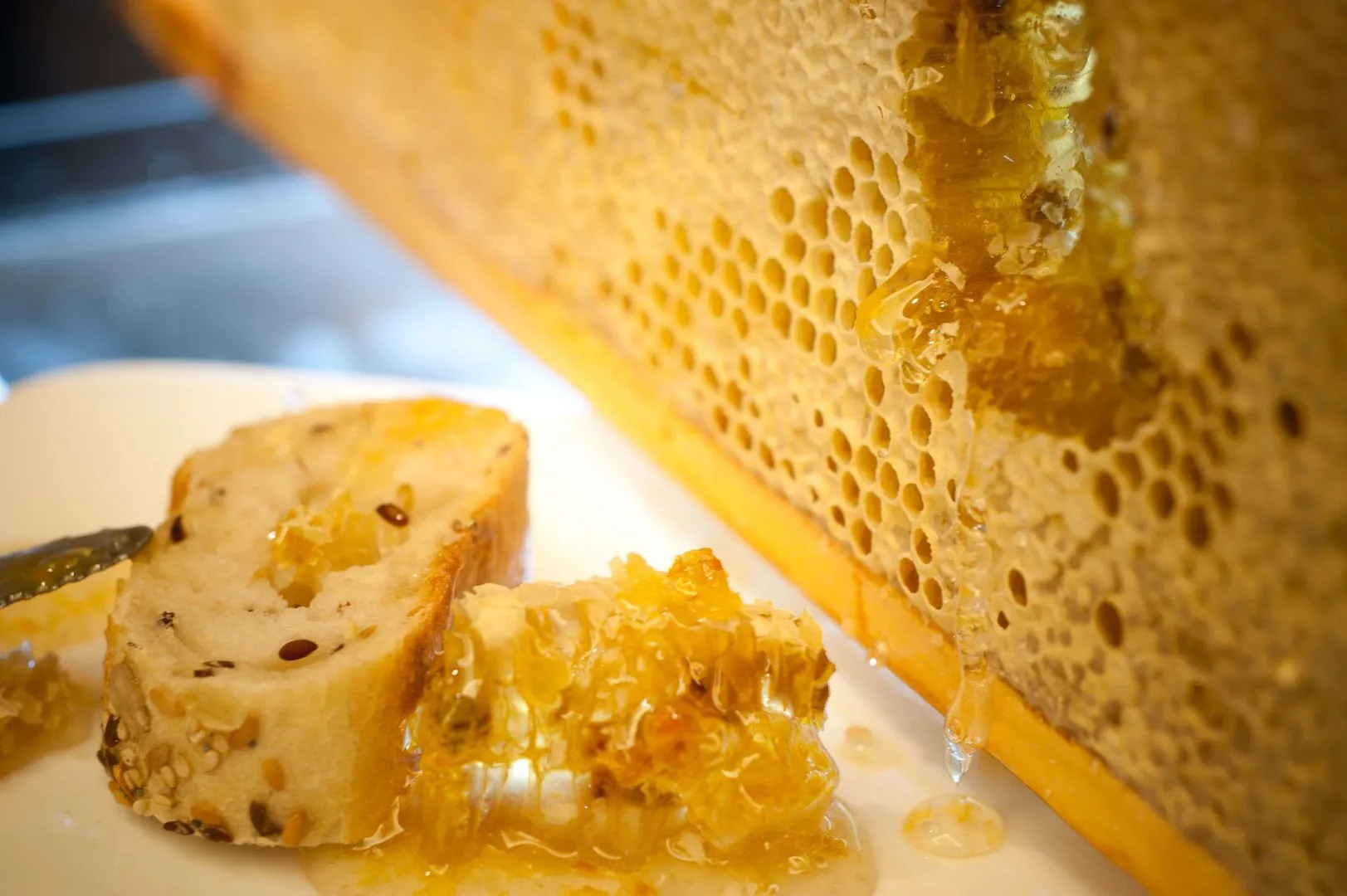 Foto - YOOMA Urban Lodge