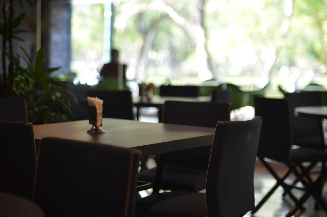 Foto - Hotel Diana del Bosque by DOT Urban