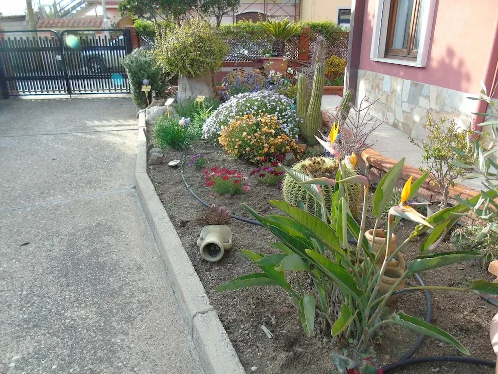 Foto - Casa da Pina