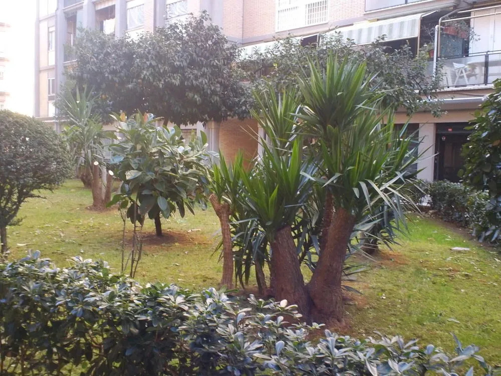 Photo - B&B Emozioni Romane