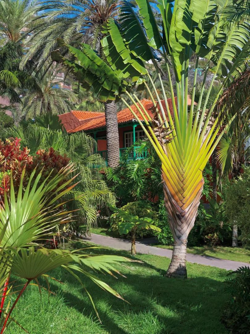 Foto - Hacienda San Jorge
