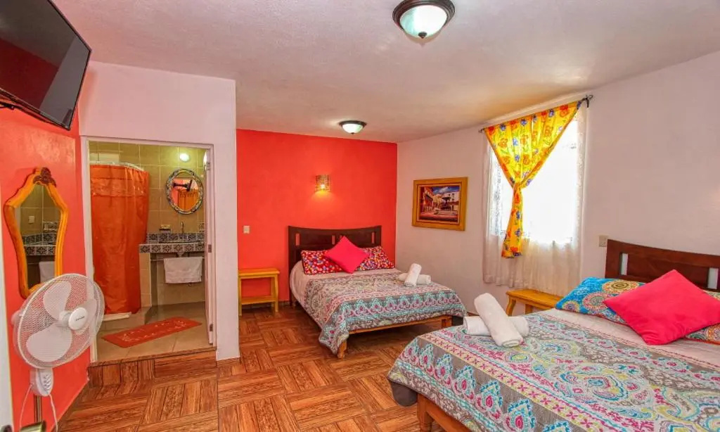 Photo - Maggic Home Panoramica