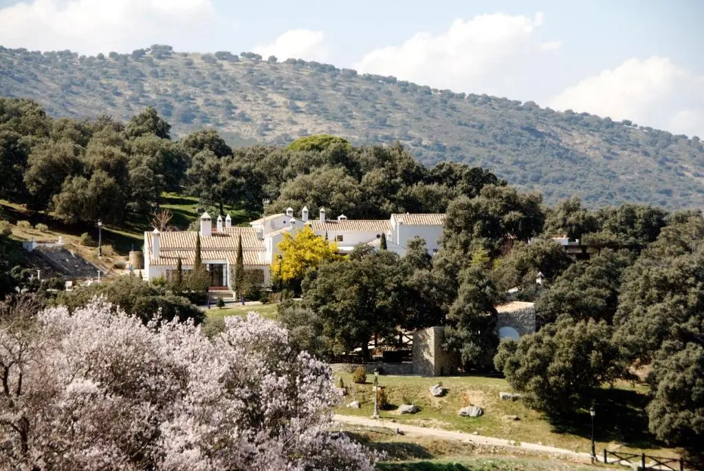 Foto - Hotel Finca Los Pilares de Ronda