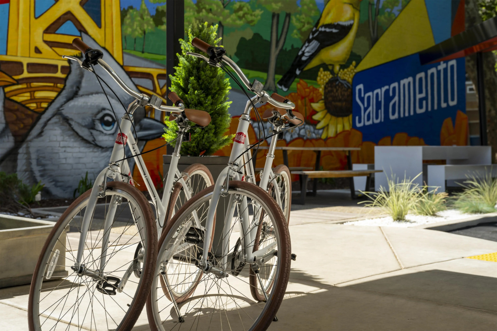 Foto - Aiden Sacramento Downtown