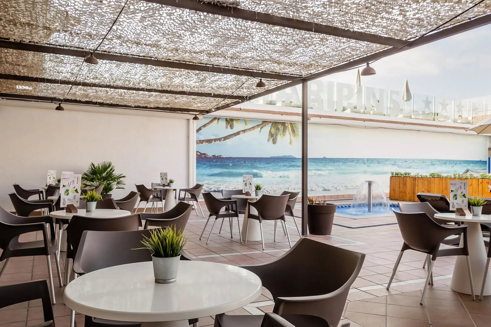 Foto - ALEGRIA Maripins