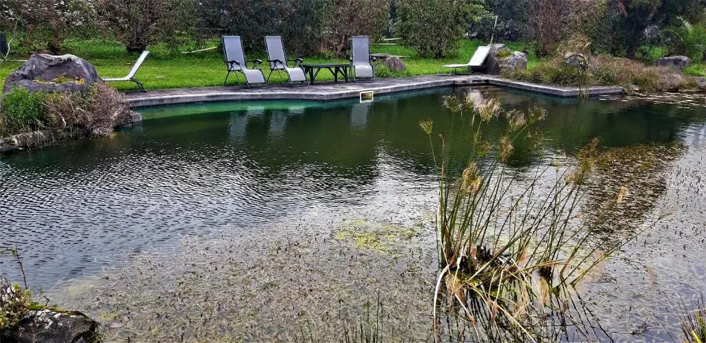Foto - Quinta do Bom Despacho