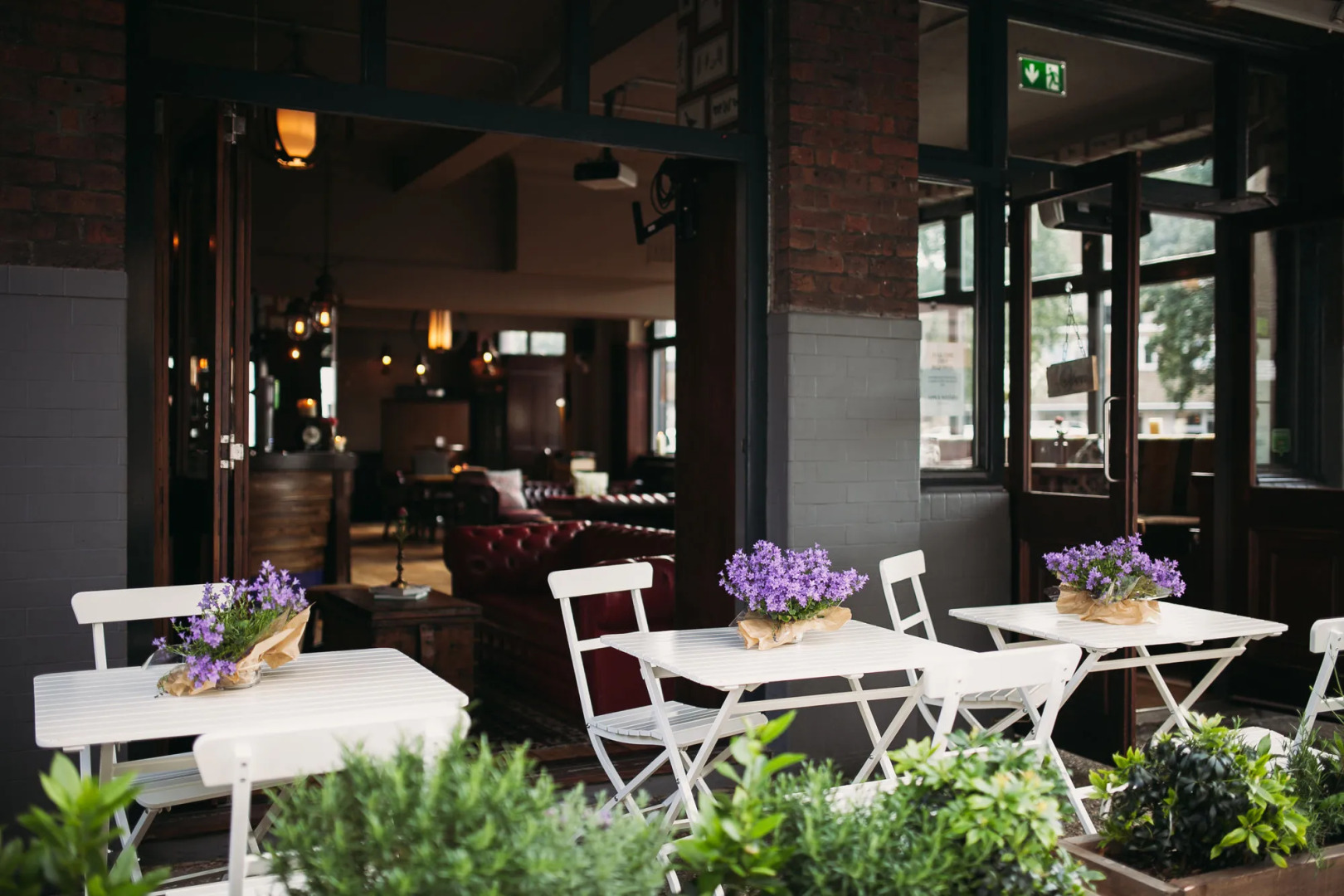 Foto - The Captain Cook