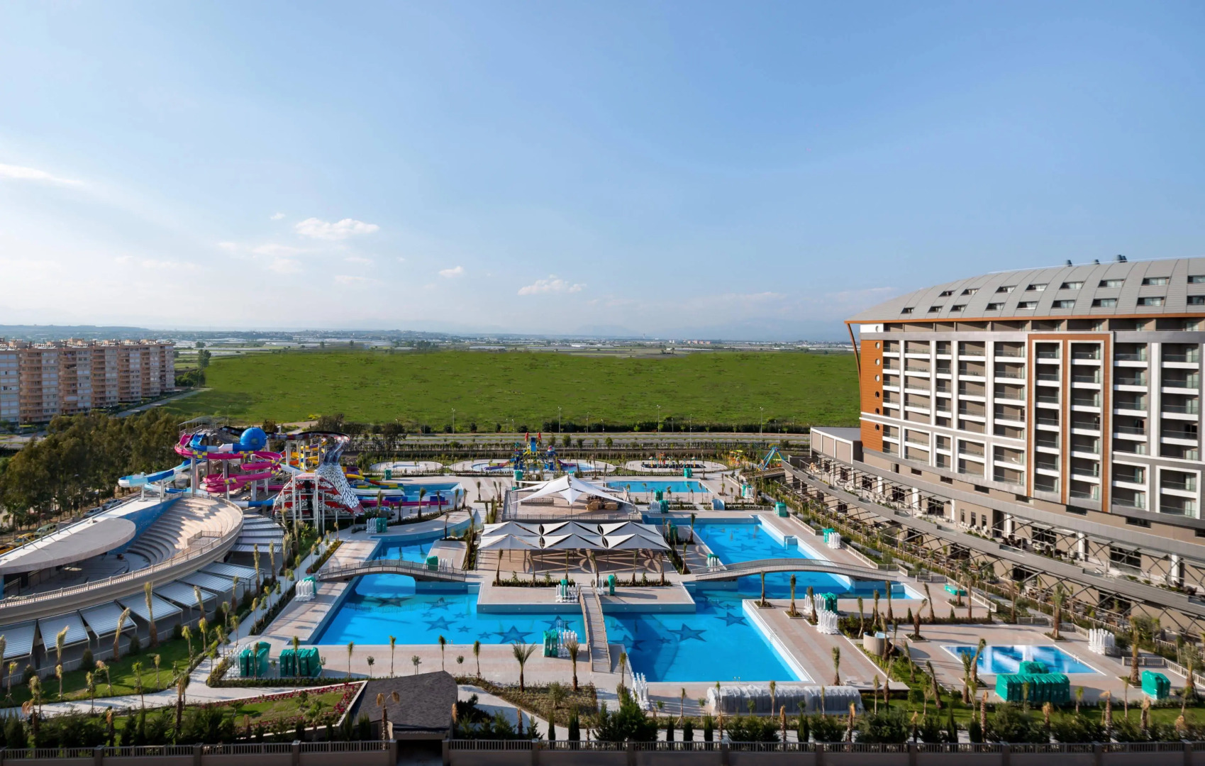 Photo - Royal Seginus