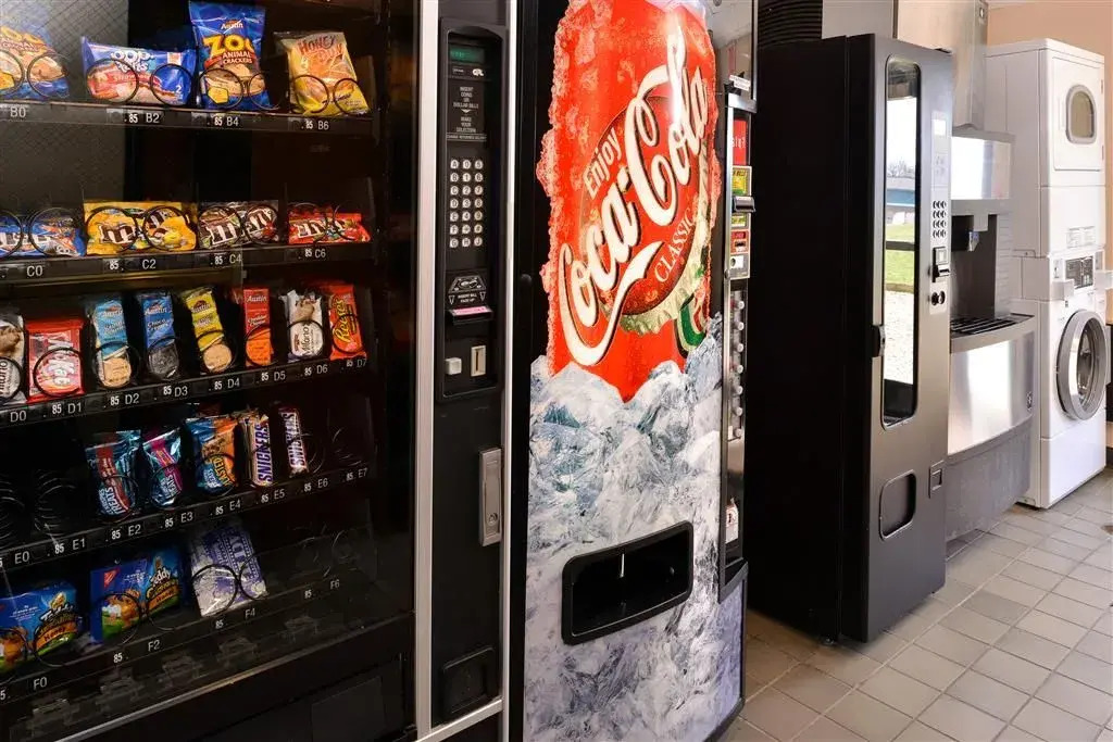 Foto - The Infusion Beach Club