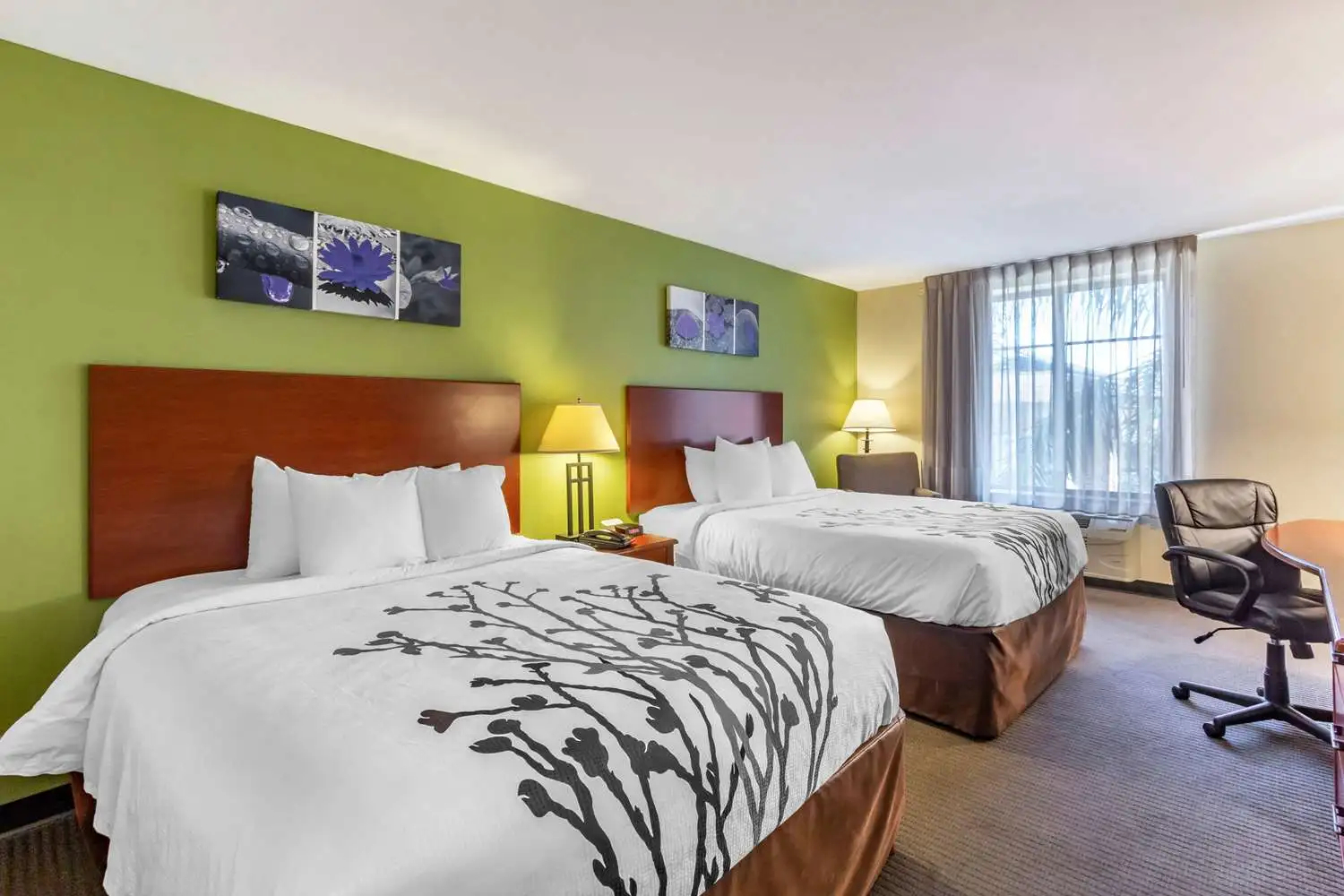 Foto - Sleep Inn & Suites Jacksonville West
