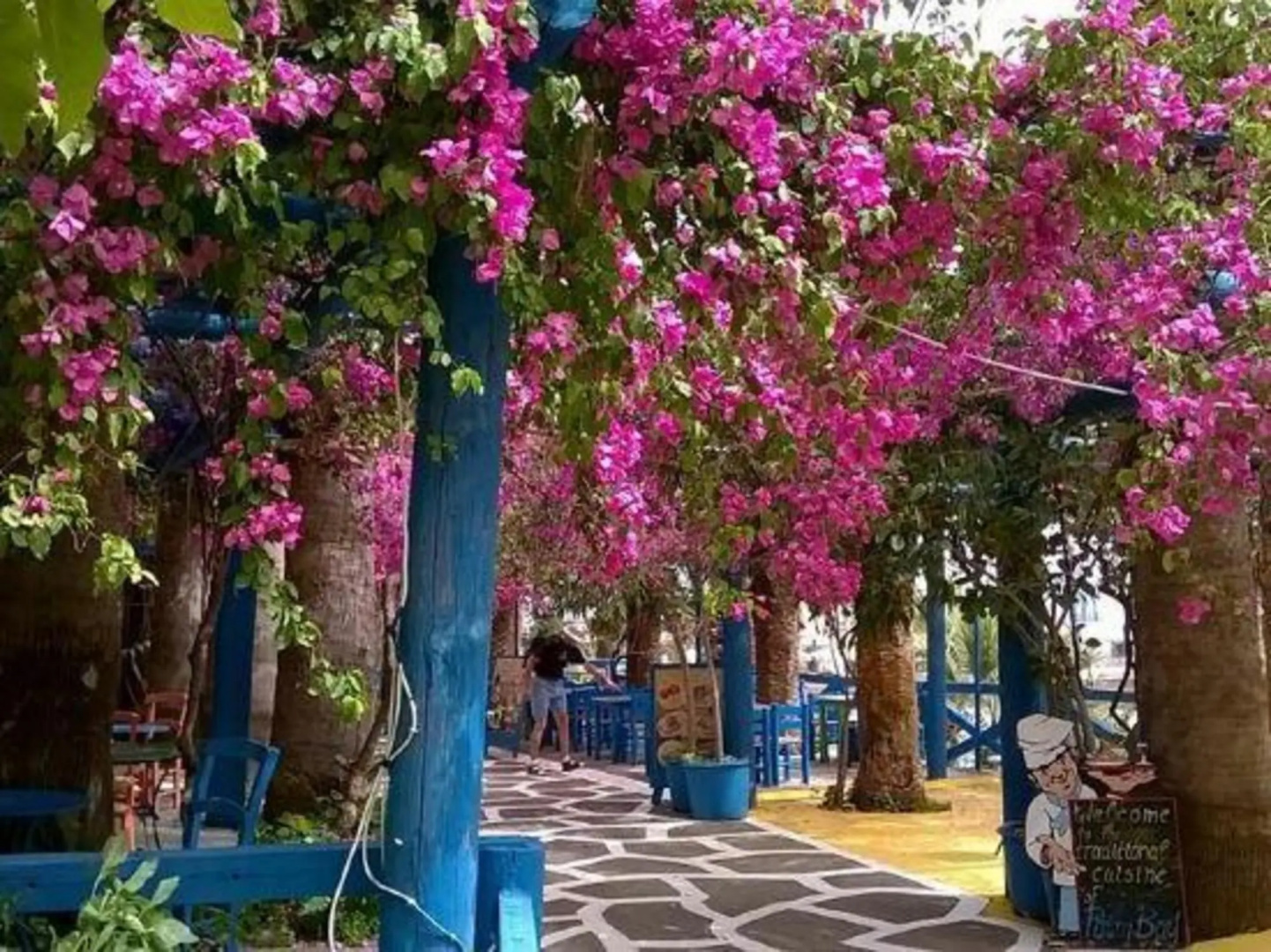 Photo - Palm Bay Hotel