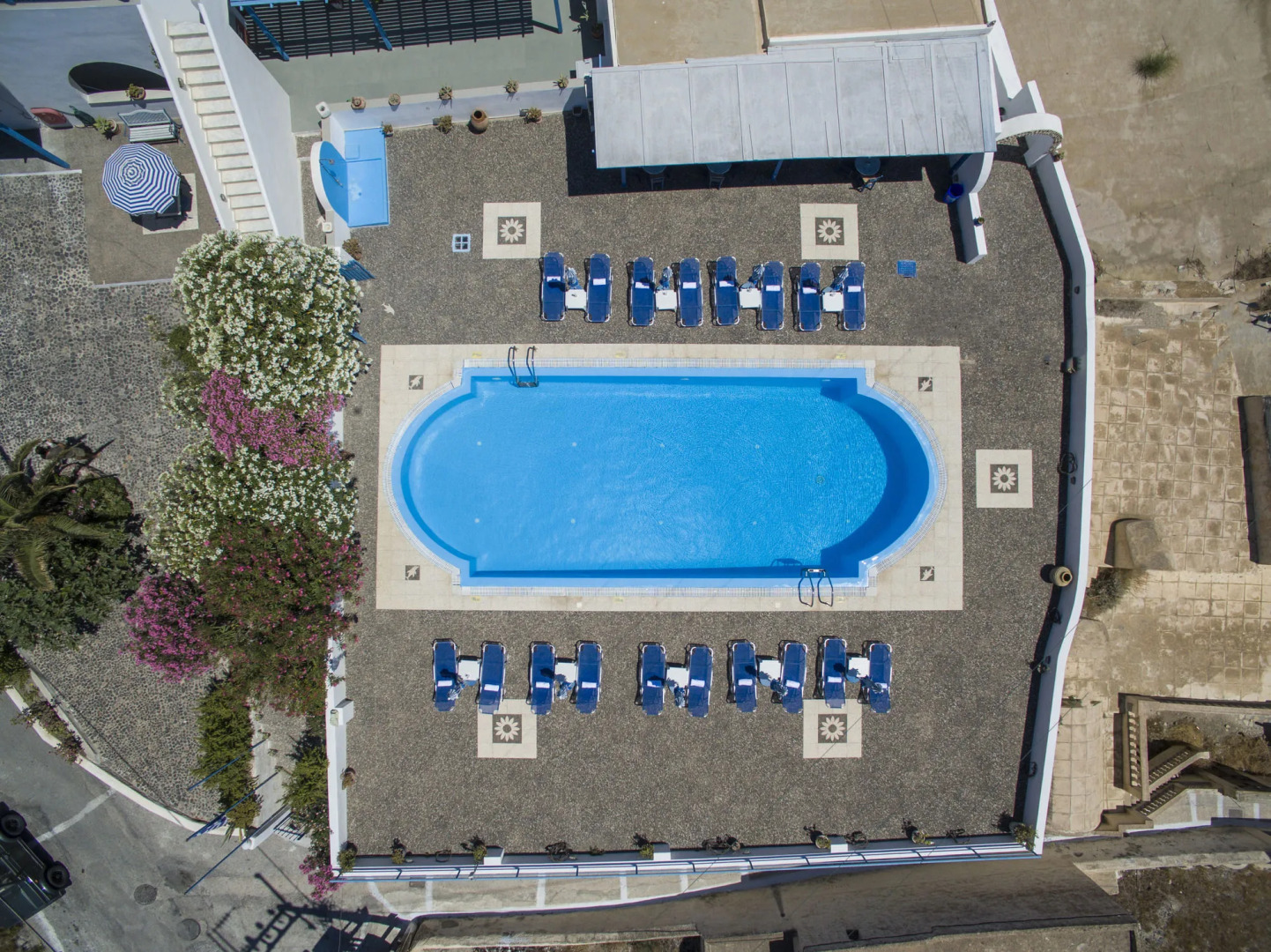 Foto - Thira's Dolphin