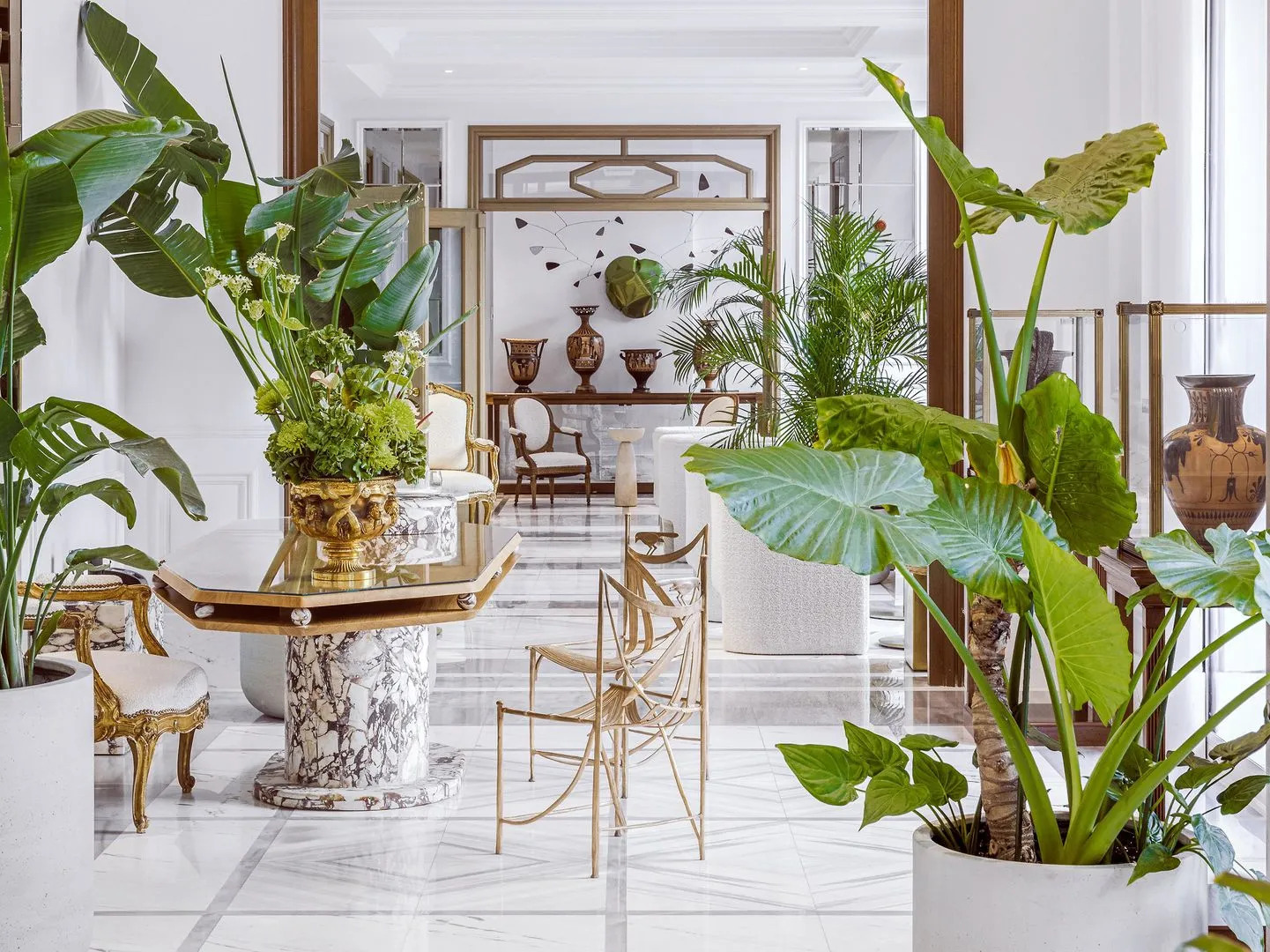 Foto - The Dolli at Acropolis, A Hotel to Live